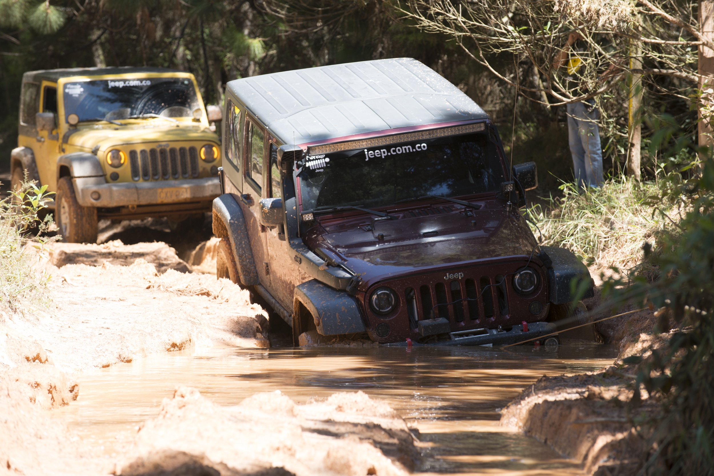 Jeep®: 80 años en Manada